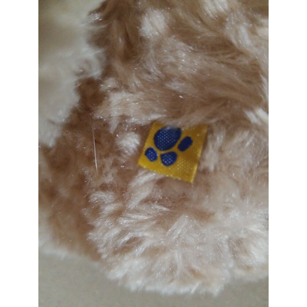 Build a bear - Picture 7 of 7